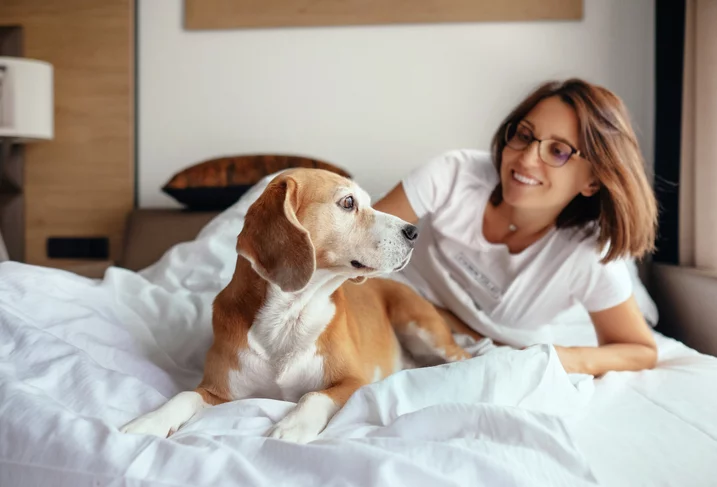 Pet friendly hotels near Plymouth Meeting, PA